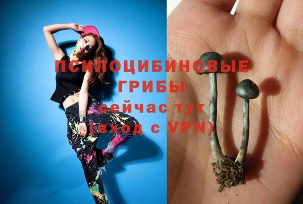 эйфоретик Губаха